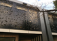 I bei pannelli decorativi del metallo esteriore, pannelli di parete d&amp;#39;acciaio decorativi ISO9001 hanno approvato fornitore
