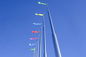 Palo della bandiera dell&amp;#39;acciaio inossidabile di varia forma per i quadrati di città / i terminali / stadi della dogana fornitore